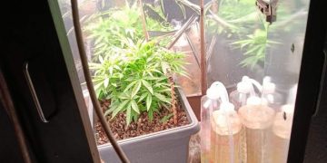 U akciji “Trener” oduzeta četiri kilograma marihuane, hašiš i laboratorija