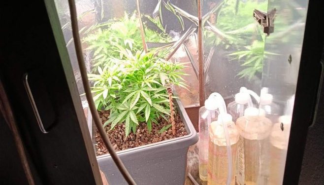 U akciji “Trener” oduzeta četiri kilograma marihuane, hašiš i laboratorija