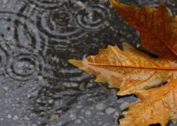 U subotu oblačno sa kišom, temperatura vazduha do 29°C