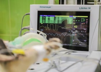 Vještačka inteligencija za dvije sekunde iz EKG snimka otkriva znakove srčane bolesti