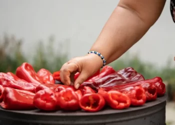 Hercegovački šampionski ajvar: Tradicionalni recept koji se prenosi s koljena na koljeno