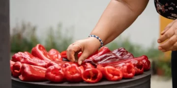 Hercegovački šampionski ajvar: Tradicionalni recept koji se prenosi s koljena na koljeno
