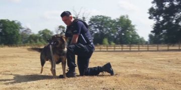 Policijski pas Bos: Od lutalice do jednog od najboljih u službi