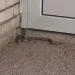 Poskok ispred ulaza zgrade u centru Banjaluke