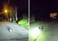 Pas heroj odveo policajca do vlasnika koji je više od tri sata ležao na podu