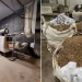 U Sloveniji otkrivena jedna od najvećih ilegalnih fabrika cigareta u Evropi